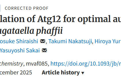 【論文掲載 / Publication】光部 雅俊 さんの論文が The Journal of Biochemistry に掲載されました